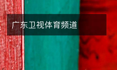 廣東衛(wèi)視體育頻道