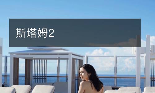斯塔姆2