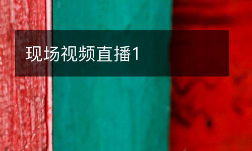 現(xiàn)場(chǎng)視頻直播1