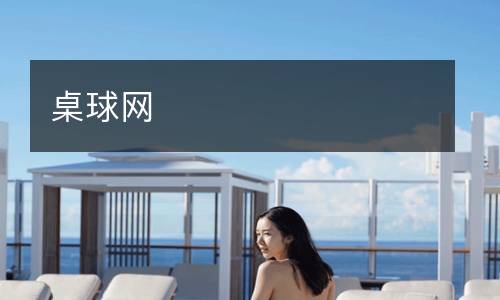 桌球網(wǎng)