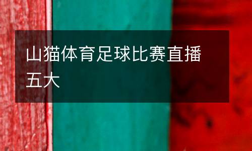 山貓?bào)w育足球比賽直播五大