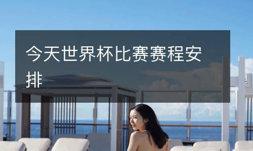 今天世界杯比賽賽程安排