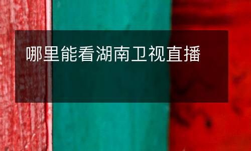 哪里能看湖南衛(wèi)視直播