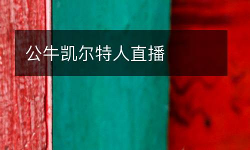 公牛凱爾特人直播