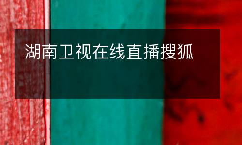湖南衛(wèi)視在線直播搜狐